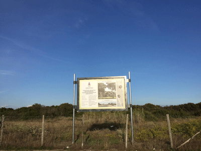 Compensazione-vegetale2